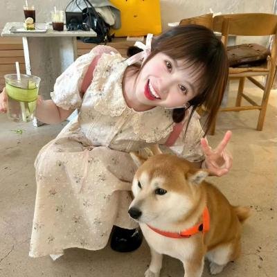 最新剧集